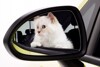 Karl Lagerfeld setzt den Opel Corsa mit Katze in Szene
