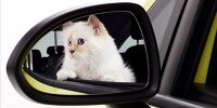 Bild zum Inhalt: Karl Lagerfeld setzt den Opel Corsa mit Katze in Szene