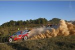 Hayden Paddon