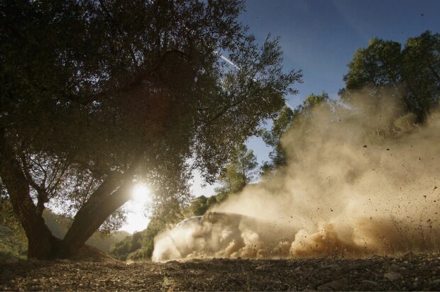 Julien Ingrassia  ~Sebastien Ogier~       