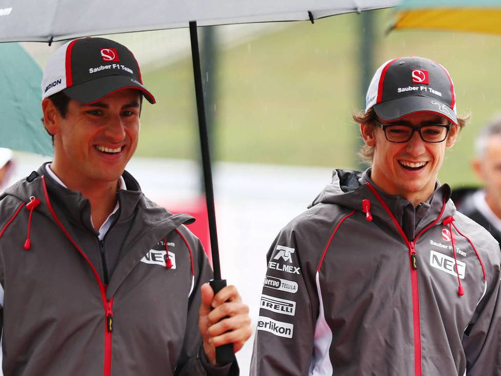 Adrian Sutil, Esteban Gutierrez