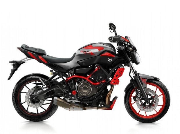 Yamaha MT-07 Moto Cage Yamaha MT-07 Moto Cage