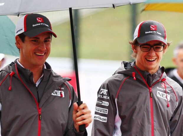 Adrian Sutil, Esteban Gutierrez Adrian Sutil, Esteban Gutierrez