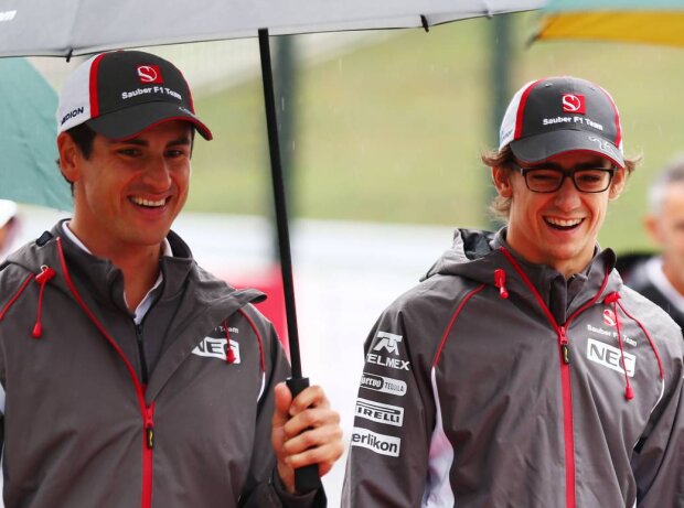 Adrian Sutil, Esteban Gutierrez