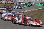 Nicolas Prost, Nick Heidfeld und Mathias Beche (Rebellion) 