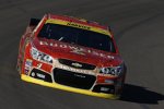 Kevin Harvick (Stewart/Haas) 