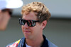 Bild zum Inhalt: Formel-1-Live-Ticker: Geht Vettel unter die Surfer?