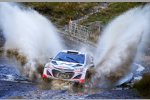 Thierry Neuville (Hyundai)