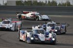 Anthony Davidson und Sebastien Buemi (Toyota) 