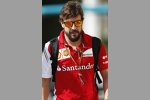 Fernando Alonso (Ferrari) 