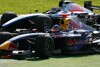 Training in Malaysia: Bird schnell, Heidfeld in der Wand