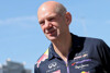Newey fürchtet um Ausbildung von Nachwuchspiloten