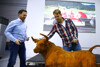 Bild zum Inhalt: Vettel: Weltmeister-Red-Bull gibt's erst nach Ferrari
