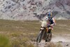 Bild zum Inhalt: Rallye Dakar: Marc Coma übernimmt die Gesamtführung