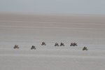 Start zur achten Etappe der Motorräder in Uyuni