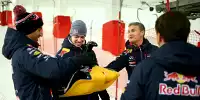 Bild zum Inhalt: Highlights des Tages: Bullen wühlen im Schnee
