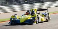 Ibanez LMP2 Wolf