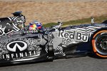 Daniel Ricciardo (Red Bull) 