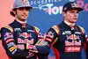 Bild zum Inhalt: Carlos Sainz: Kein Problem im Schatten von Verstappen