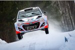 Thierry Neuville (Hyundai)