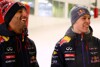 Bild zum Inhalt: Coulthard gespannt: Wie geht Ricciardo mit Niederlagen um?