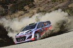 Hayden Paddon (Hyundai)