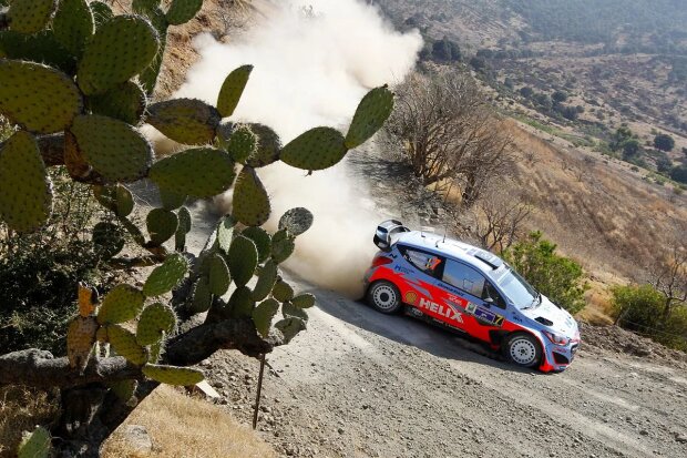 Hyundai Hyundai Motorsport WRC ~Thierry Neuville (Hyundai)~ Hyundai Hyundai Motorsport WRC ~Thierry Neuville (Hyundai)~