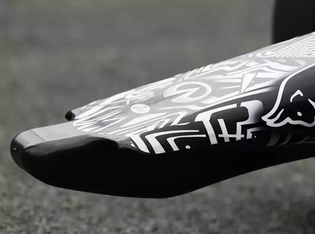 Titel-Bild zur News: Nase des Red Bull RB11