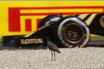 Pastor Maldonado (Lotus) wird beobachtet