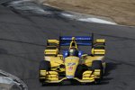 Marco Andretti (Andretti)