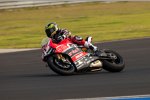 Troy Bayliss (Ducati)
