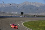 Jamie McMurray (Ganassi) 