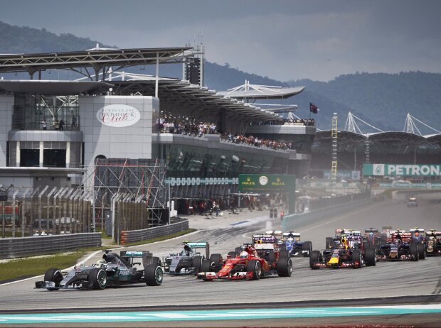 Titel-Bild zur News: Lewis Hamilton, Sebastian Vettel, Nico Rosberg, Daniel Ricciardo