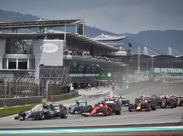 Lewis Hamilton, Sebastian Vettel, Nico Rosberg, Daniel Ricciardo Titel-Bild zur News: Lewis Hamilton, Sebastian Vettel, Nico Rosberg, Daniel Ricciardo