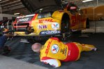 Tom Coronel (ROAL-Chevrolet) 