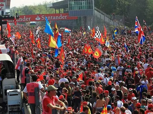 Tifosi, Monza Titel-Bild zur News: Tifosi, Monza