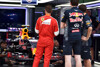 Bild zum Inhalt: Red-Bull-Berater Marko: Ricciardo mit Vettel auf gleicher Stufe