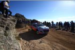 Daniel Sordo (Hyundai)