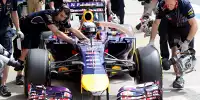 Daniel Ricciardo, Chris Gent