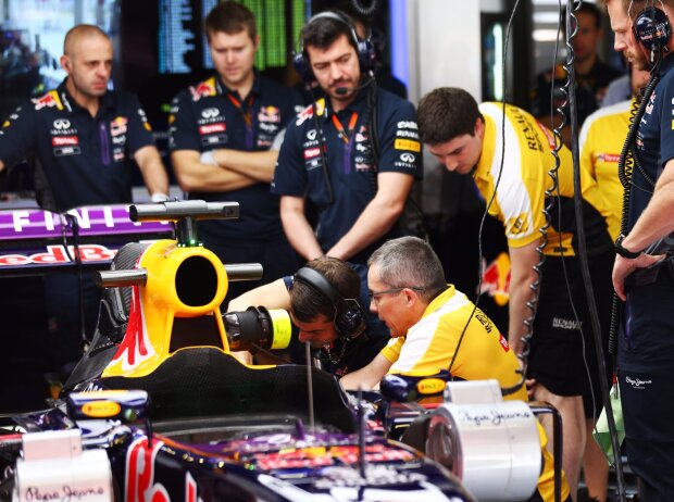 Daniel Ricciardo Daniel Ricciardo