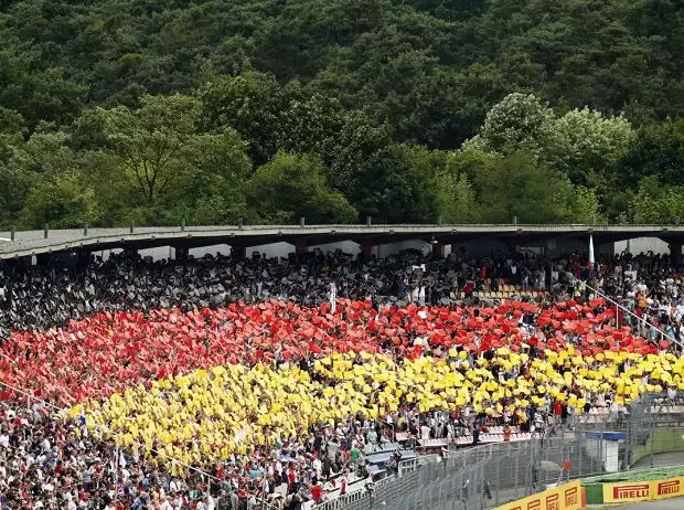 Fans Titel-Bild zur News: Fans