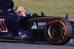 Pierre Gasly (Toro Rosso)