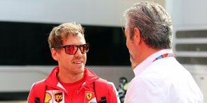 Sebastian Vettel: Volles Vertrauen in Ferrari-Aufschwung