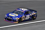 Chase Elliott (Hendrick) 