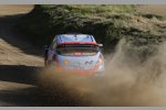 Thierry Neuville (Hyundai)