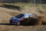 Thierry Neuville (Hyundai) 