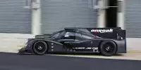 Alex Brundle