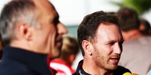 Red-Bull-Teamchef Horner: Reifenkrieg kontraproduktiv