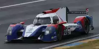 Nicolas Minassian, Maurizio Mediani