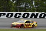 Joey Logano (Penske) 